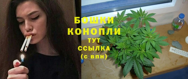 соль ск Абаза