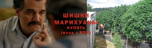 соль ск Абаза