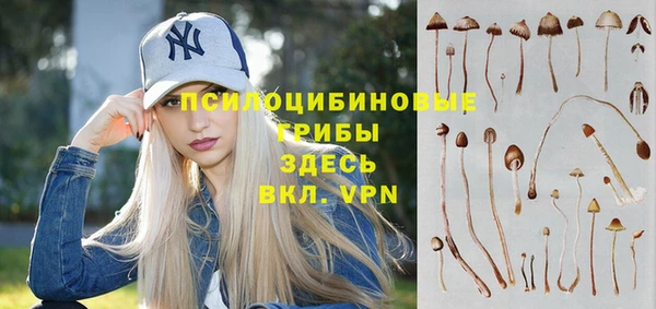 соль ск Абаза