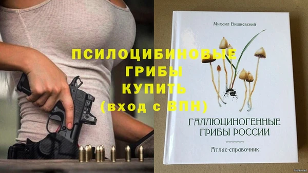 соль ск Абаза