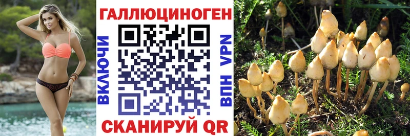 Псилоцибиновые грибы Cubensis Сольцы