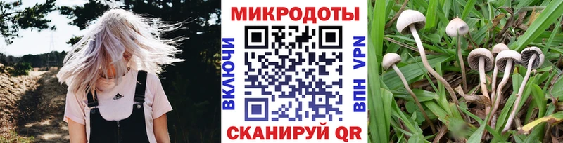 Галлюциногенные грибы мухоморы  наркотики  Сольцы 