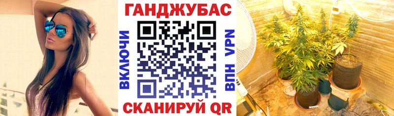 закладка  Сольцы  Каннабис семена 